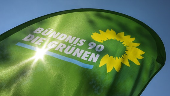 Fahne mit dem Logo der Partei Bündnis 90 / Die Grünen © picture alliance/dpa | Heiko Rebsch Foto: Heiko Rebsch