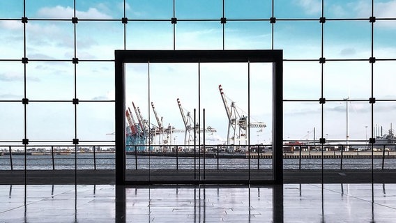 Blick aus einem Bürogebäude auf die Kräne im Hamburger Hafen. © Marten Schlegel Foto: Marten Schlegel