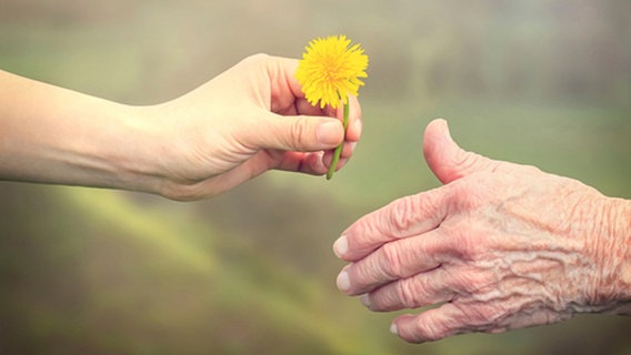 Eine junge Hand reicht einer älteren eine Blume. © panthermedia Foto: Melpomene