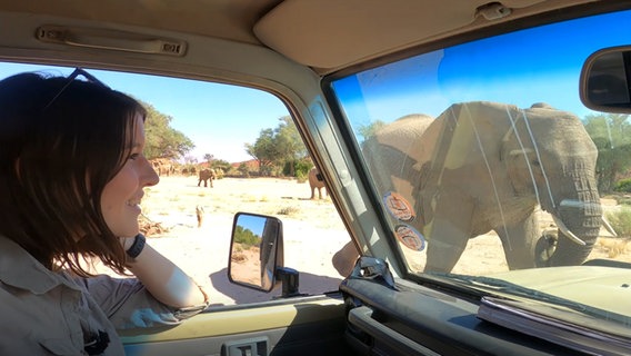 Tierärztin Hannah Emde sieht in Namibia vom Auto aus einen Elefanten. © NDR/Doclights 