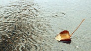 Ein Herbstblatt schwimmt auf einer Pfütze im Regen. © photocase Foto: ad Rian