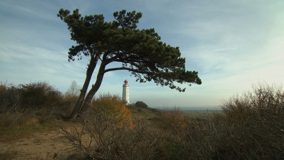 landpartie hiddensee © NDR 