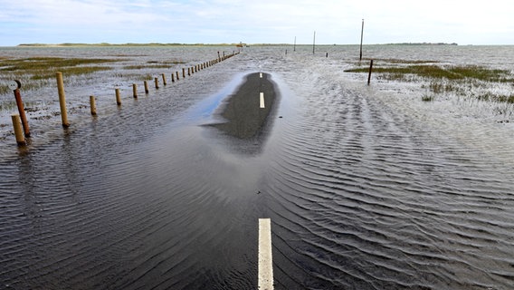 Hochwasser hat eine Straße überschwemmt. © Colourbox Foto: -