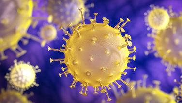 Eine stilisierte Darstellung eines Coronavirus © PantherMedia Foto: tiero