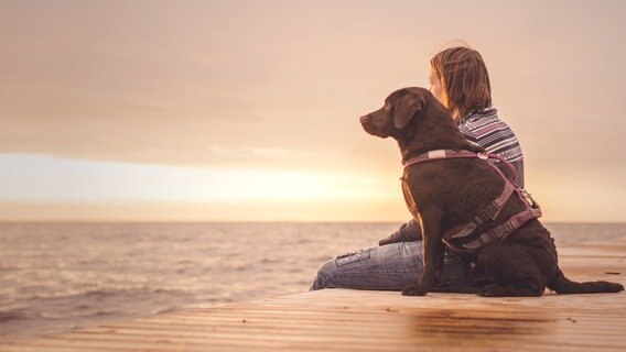 Eine Person sitzt mit ihrem Hund auf einem Steg am Wasser © photocase Foto: FloKu