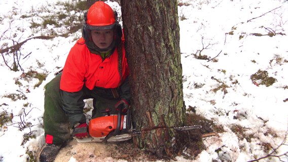 Auszubildende lernen im Wald das Handwerk der Forstwirtschaft © NDR 