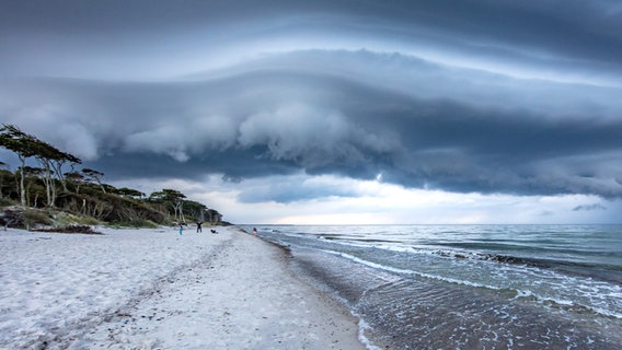Da braut sich was zusammen: Ein Hitzegewitter über dem Ostseebad Prerow. © NDR Foto: Klaus Haase aus Prerow