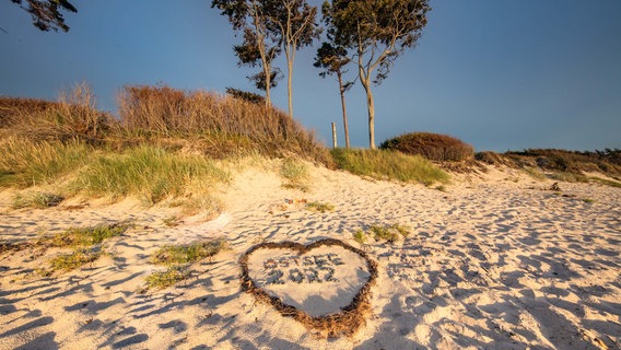 Einen Sommertag am Strand kann man einfach nur lieben. © NDR Foto: Klaus Haase aus Prerow