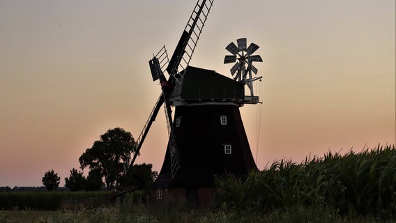 In Rövershagen beginnt ein neuer Tag. Durch die Holländerwindmühle bekommt das Bild einen romantischen Hauch. © NDR Foto: Ingo Krummheuer aus Rövershagen