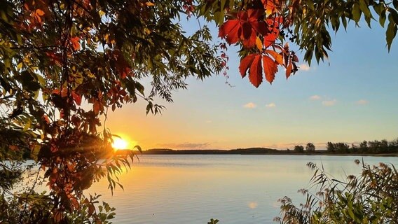 Der Herbst bringt goldenes Licht und bunte Blätter nach Mecklenburg-Vorpommern. © NDR Foto: Cornelia Strubelt aus Waren (Müritz)
