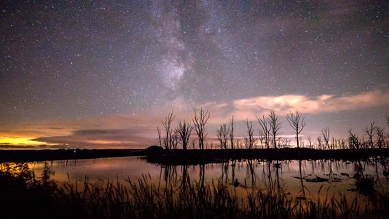 Am Abendhimmel lässt sich die Milchstraße sehr gut erkennen. Die vielen Sterne scheinen am Galenbecker See. © NDR Foto: Ralph Gröger aus Neubrandenburg