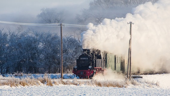 Eine Dampflok fährt durch eine verschneite Landschaft. © NDR Foto: Gerold Schölzel aus Eldena