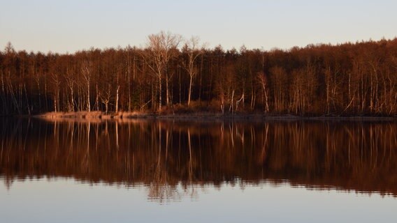 Fast herbstlich sieht es im Januar an einem Waldsee bei Warin aus. Die rotbrauenen Farben spiegeln sich im Wasser. Ein friedlicher Tagesausklang mit tiefstehender Sonne. © NDR Foto: Jürgen Nagorsnick aus Kloster Tempzin