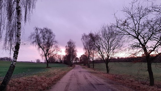 Marianne schriebt zu ihrem Bild: "Fazination der Farben in der  Abenddämmerung. Augenommen auf einem Spaziergang auf einem Landweg zwischen Pinnehof und Glasin." © NDR Foto: Marianne Wollner aus Lübberstorf