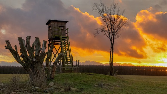 Dieser Hochsitz steht in der Nähe der Stadt Plau am See. Er ist nur einer von etlichen in Mecklenburg-Vorpommern. © NDR Foto: Carsten Bremer aus Waren