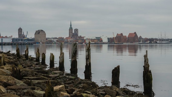 Ein Blick vom kleinen Dänholm aus auf die Hansestadt Stralsund. © NDR Foto: Hartmut Heidrich aus Stralsund
