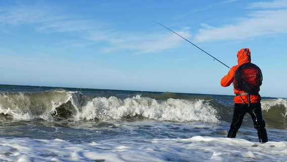 Ein Angler wirft in der Ostsee die Angel aus. © NDR Foto: Hartmut Möller aus Rostock