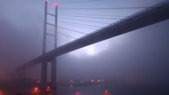 Die Rügenbrücke im Nebel. © NDR Foto: Katarina Bütow aus Niepars