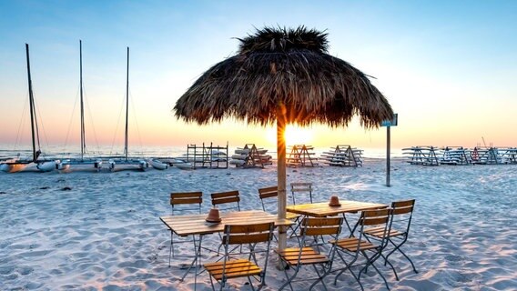 Die Sonne scheint durch einen Strohschirm am Prerower Strand. © NDR Foto: Klaus Haase