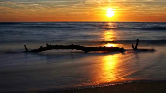 Sonnenuntergang am Weststrand auf dem Fischland Darß. © NDR Foto: Anke Hanusik aus Grimmen