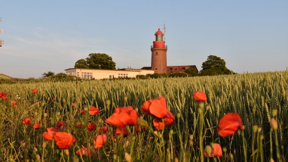 Ein früher Morgenblick zum leuchtenden Rot der Mohnblüten und der Bastorfer Leuchtturmspitze. © NDR Foto: Jana Hobe aus Rostock