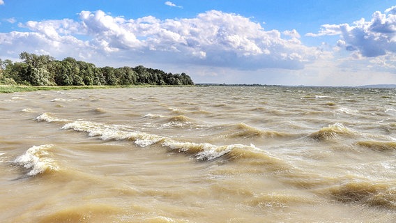 Wind und Wellen am Kummerower See in Gravelotte. © NDR Foto: Angela Kittelmann aus Stavenhagen