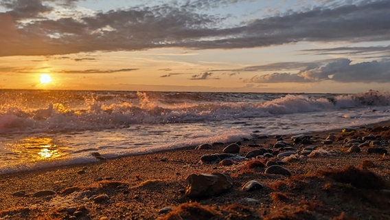 Wellen, Abendlicht und Strand geben ein harmonisches Stelldichein © NDR Foto: Gunnar Frese aus Grimmen