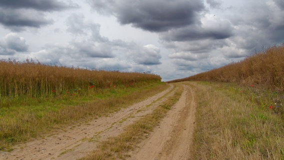 Der Weg ist das Ziel © NDR Foto: Olga Wunderlich aus Stralsund