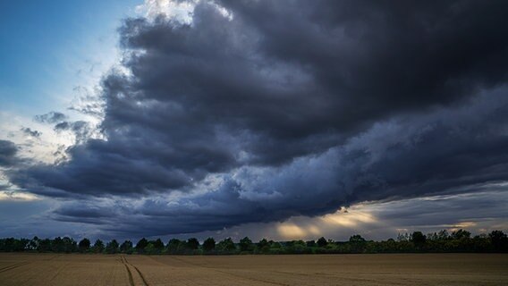 Sommergewitter über einem Feld. © NDR Foto: Manfred Seibke aus Gadebusch