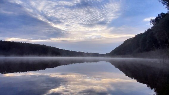 Morgennebel am Domjüchsee © NDR Foto: Thomas Roloff aus Neustrelitz