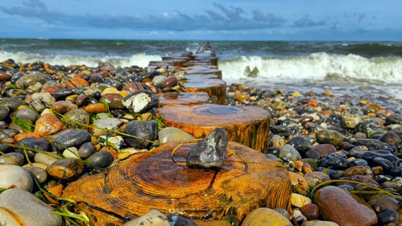 Am Naturstrand von Börgerende © NDR Foto: Thorsten Krahn aus Rostock