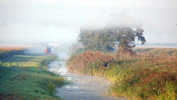 Früher Morgennebel am Weißen Graben in der Friedländer Großen Wiese. © NDR Foto: Ingo Tetzlaff aus Ferdinandshof