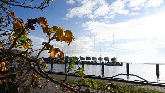 Segelboote außerhalb des Wassers im Hafen von Altefähr. © NDR Foto: Anne Schönemann aus Stralsund