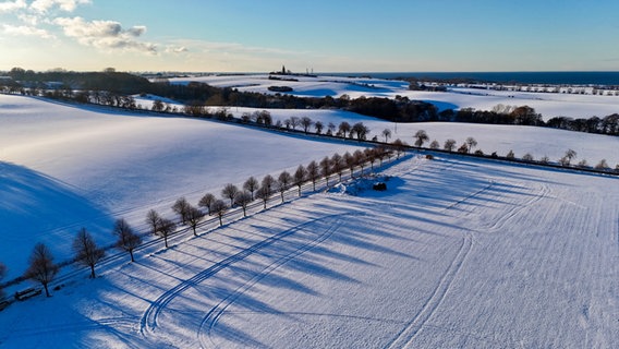 Schneebedeckte Ackerflächen bei Bastorf und mit Blick auf die Ostsee. © NDR Foto: Johanna Wollschläger aus Bastorf