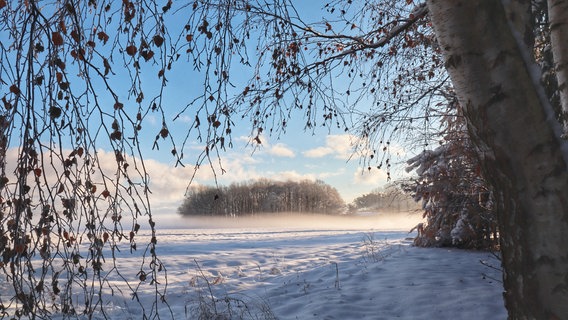 Traumhafte Winterlandschaft direkt vor der Tür -  in der Wischuer Gemeinde Biendorf. © NDR Foto: Nadine Reichwald aus Wischuer