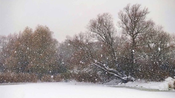 Schneetreiben © NDR Foto: Bringfried Eisermann aus Rostock