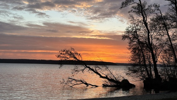 Sonnenaufgang über dem Schwerinr Außensee © NDR Foto: Elke Blum aus Seehof