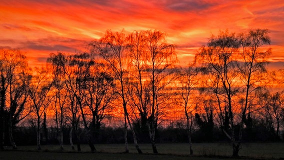 Sonnenuntergang am 3. Advent © NDR Foto: Peter Schumacher aus Lambrechtshagen OT Sievershagen