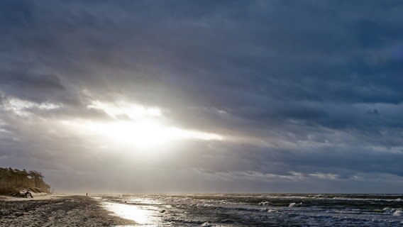 Der Strand am Darßer Ort. © NDR Foto: Joachim Wabnitz aus Greifswald