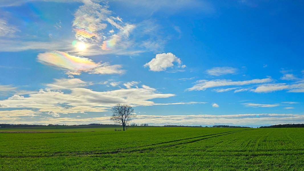 Warmer, sonniger und trockener April: So war das Wetter in SH