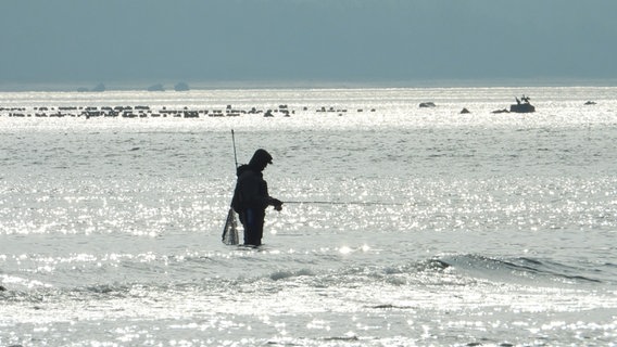 Ein Angler steht in Dranske im Wasser. © NDR Foto: Hans-Jürgen Kaufhold aus Stralsund