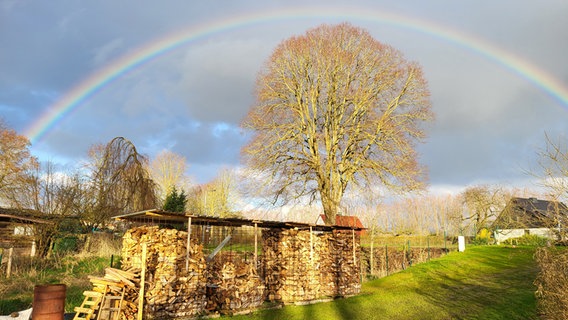 Regenbogen © NDR Foto: Matthias Brusberg aus Neu Poserin