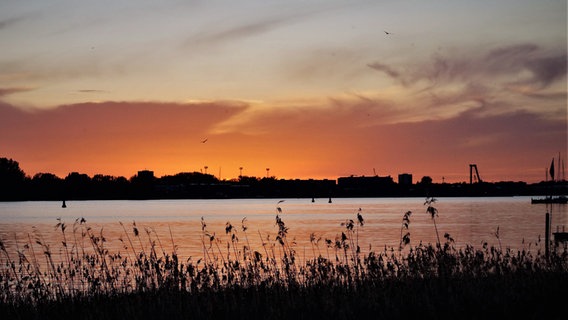 Sonnenuntergang an der Warnow © NDR Foto: Bernd Seegler aus Rostock