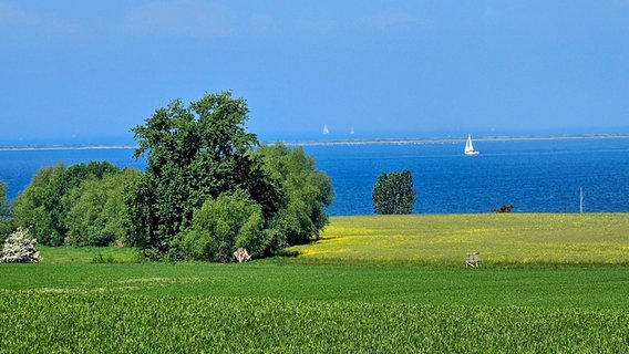 Blick auf die Ostsee am Salzhaff © NDR Foto: Arno Koß aus Boizenburg