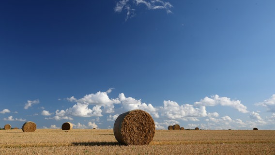 Strohballen auf einem Feld. © NDR Foto: Gernot Rücker aus Rostock
