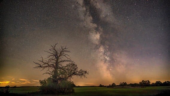 Die Milchstraße am Himmel über einem Feld. © NDR Foto: Franziska Kolm aus Brahlstorf