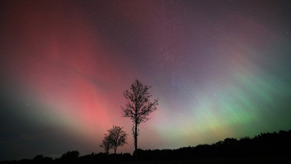 Polarlichter über Brahlstorf © NDR Foto: Franziska Kolm aus Brahlstorf