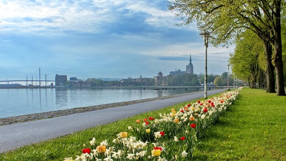 Sundpromenade Stralsund © NDR/ Axel Plate aus Stralsund Foto: NDR/ Axel Plate aus Stralsund