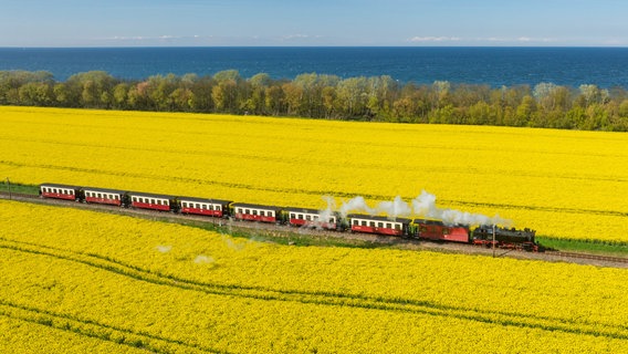Die Mecklenburgische Bäderbahn Molli GmbH © NDR Foto: Andy Bünning aus Pasewalk