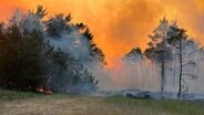 Feuer auf dem Truppenübungsplatz in Lübtheen. © dpa Bildfunk Foto: Thomas Schulz